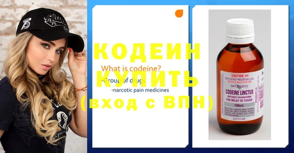 амф Ладушкин