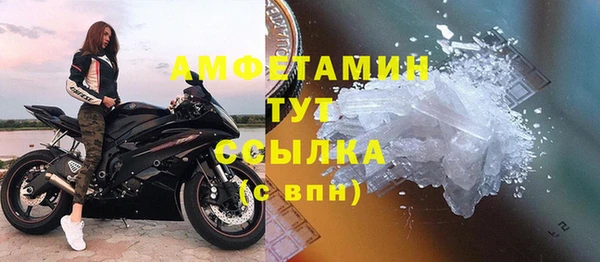 амф Ладушкин