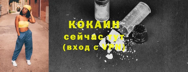 амф Ладушкин