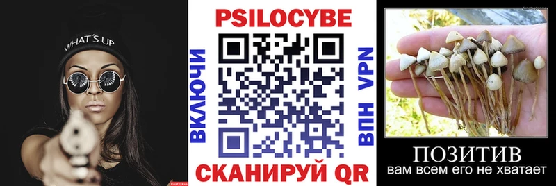 Купить закладки  Иланский  Псилоцибиновые грибы мицелий 
