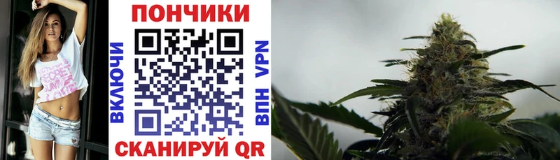Конопля гибрид Купить закладки Иланский